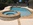 lafayette custom swimming pool 